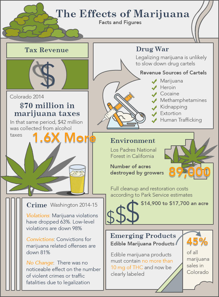 Marijuana In Your System Chart