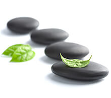 holistic treatment program