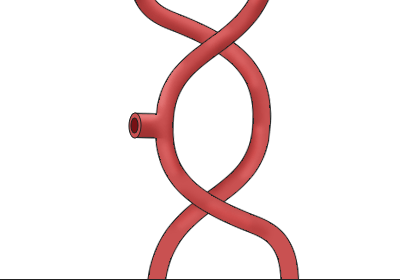 body-parts2