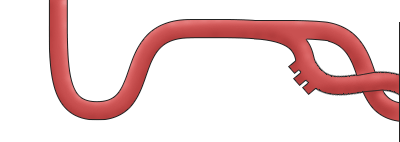 bodyparts1