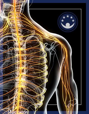 Effects on the Central Nervous System