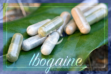 What Is The Success Rate For Ibogaine