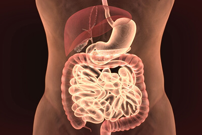 How Do Drugs Affect the Digestive System?
