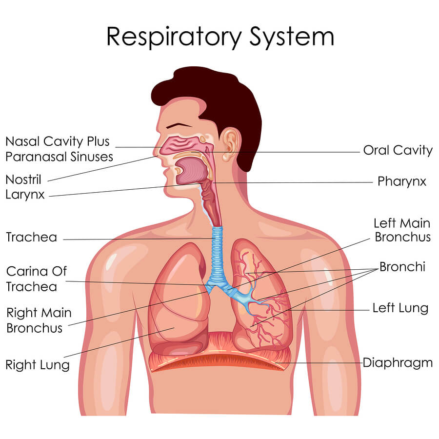 what-drugs-can-cause-breathing-problems-drugs-your-lungs