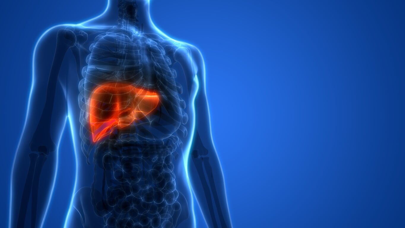 Symptoms & Causes of Cirrhosis of the Liver