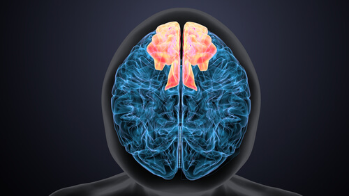 Can Drugs Cause Brain Damage?